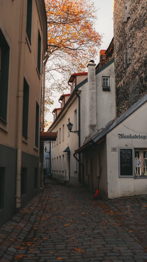 View of a Narrow, Cobblestone Alley between Buildings in City 