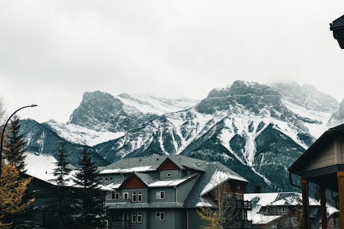 Foto profissional grátis de árvores, Canadá, casa