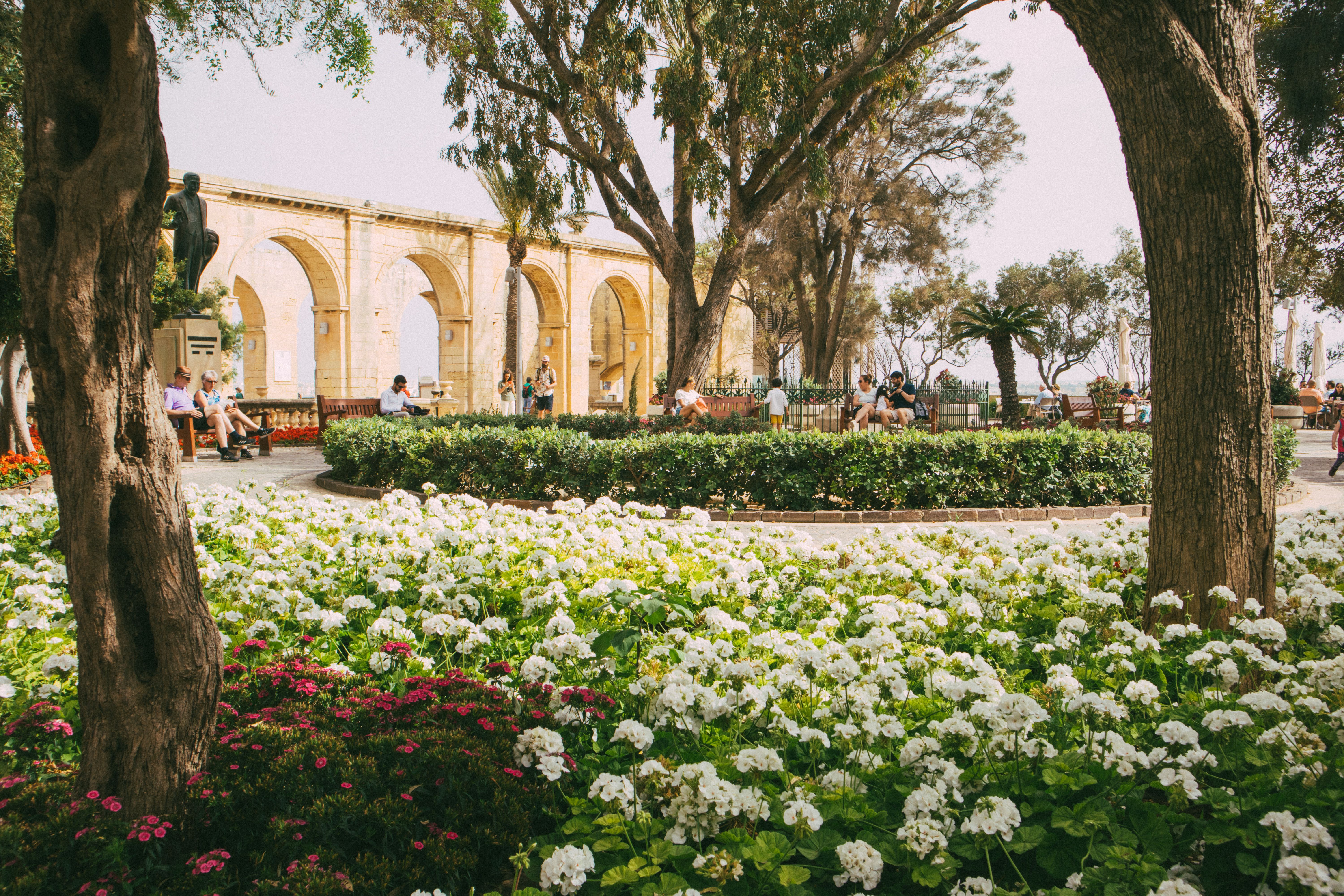Buskett Gardens
