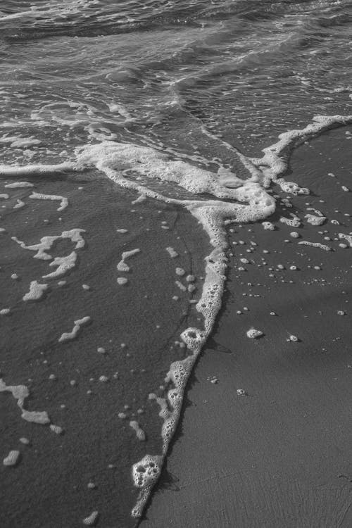 Immagine gratuita di bagnato, bianco e nero, litorale