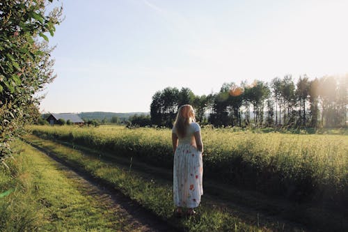 Бесплатное стоковое фото с летнее платье, луг, поле фермы