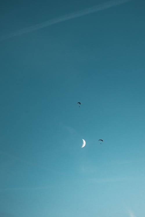 Parachutist Under Clear Blue Sky with Background View of Crescent Moon