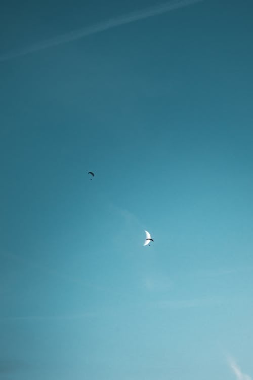 Kostnadsfri bild av blå himmel, extrem, fallskärmar