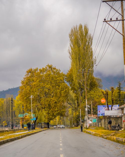 Free Quiet street with autumn foliage and cloudy skies, capturing nature's tranquility in a small town setting. Stock Photo