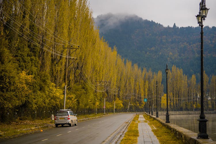 Gray Car Parked On Road Beside Green Trees