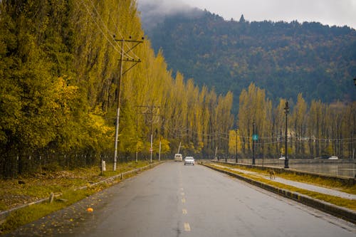 Moving Cars on Asphalt road