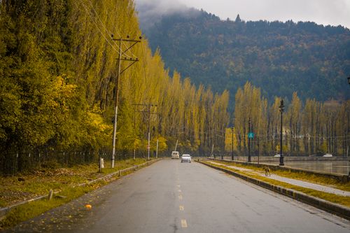 Free An empty asphalt road lined with trees and mountains under an overcast sky in fall. Stock Photo