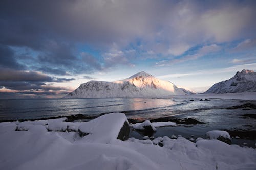 Gratis lagerfoto af arktisk, forkølelse, hav