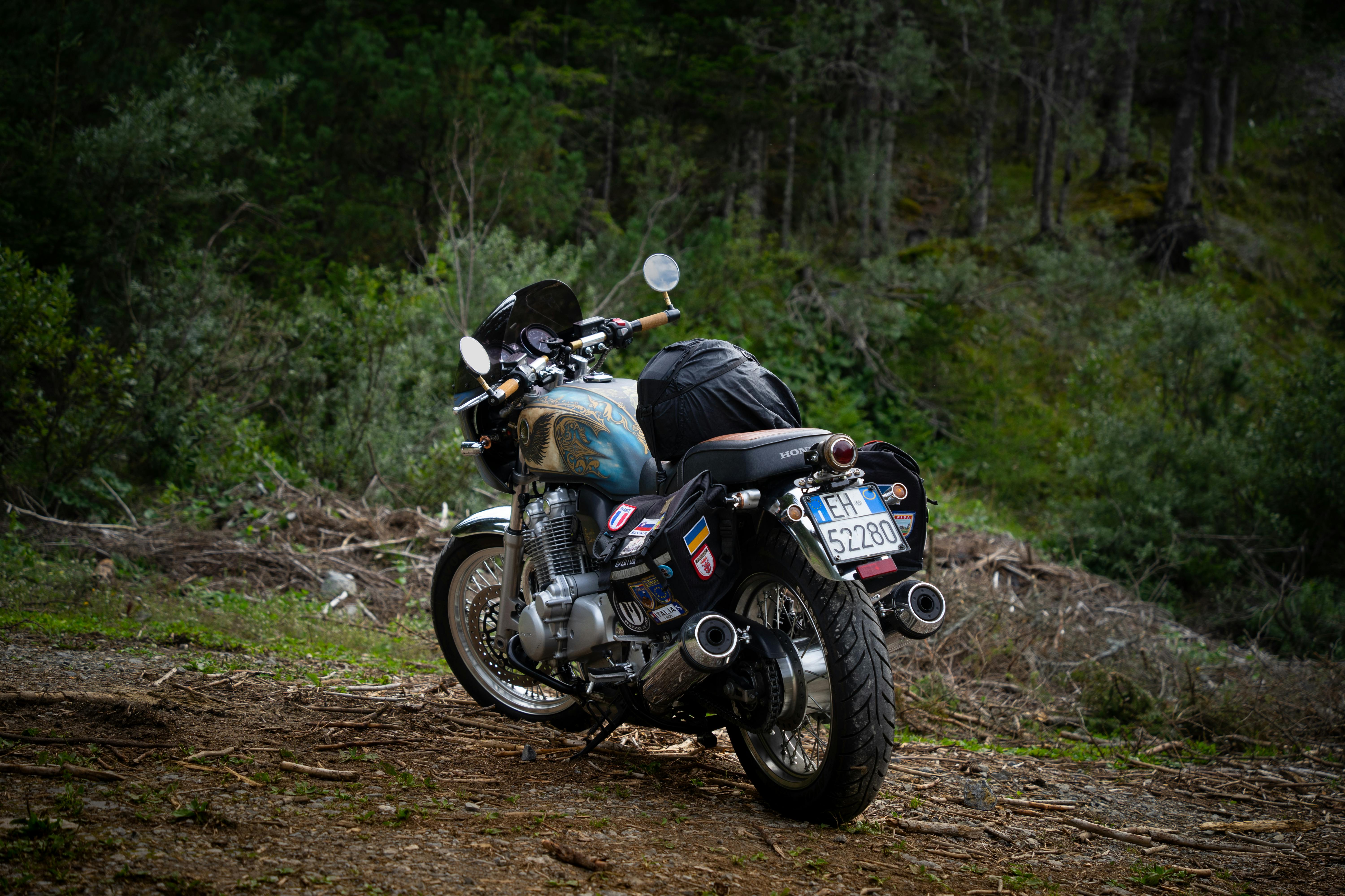 Vintage motorcycle resting in a tranquil forest, surrounded by nature's greenery.
