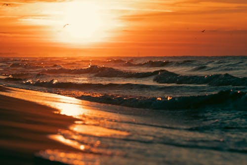 Δωρεάν στοκ φωτογραφιών με γνέφω, δύση του ηλίου, θάλασσα Φωτογραφία από στοκ φωτογραφιών