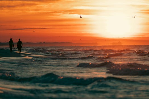 Couple walking along a scenic beach during a breathtaking sunset, surrounded by waves and birds.