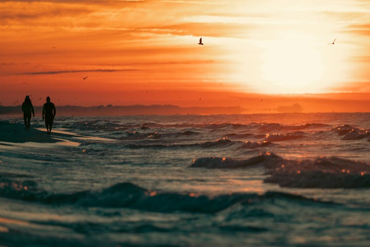 Silhouette Of A Couple Walking On Shore During Golden Hour