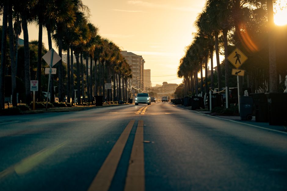Florida street palm trees afternoon