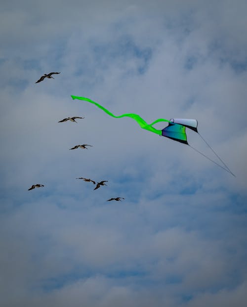 Neon Kite and Flying Birds against Cloudy Sky