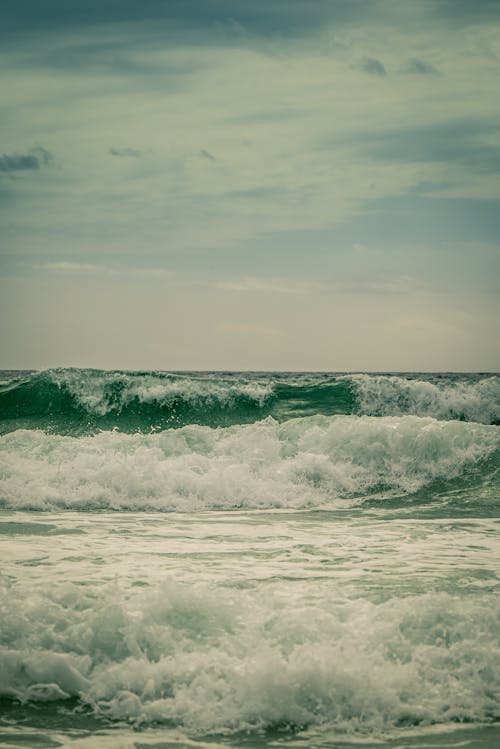 Foto d'estoc gratuïta de escuma, mar, marí