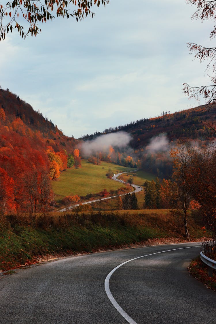 Curved Road Leading Through Autumn Valley