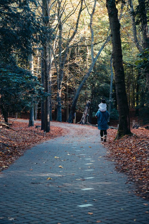 Gratis stockfoto met betonnen stoep, buiten, park