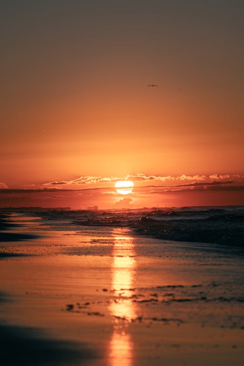 Ilmainen kuvapankkikuva tunnisteilla aallot, auringonlasku, auringonlaskun värit Kuvapankkikuva