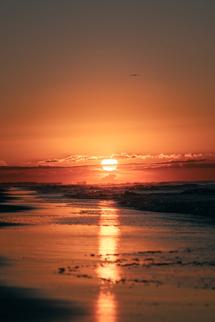 Sunset Reflection Over The Beach Shore