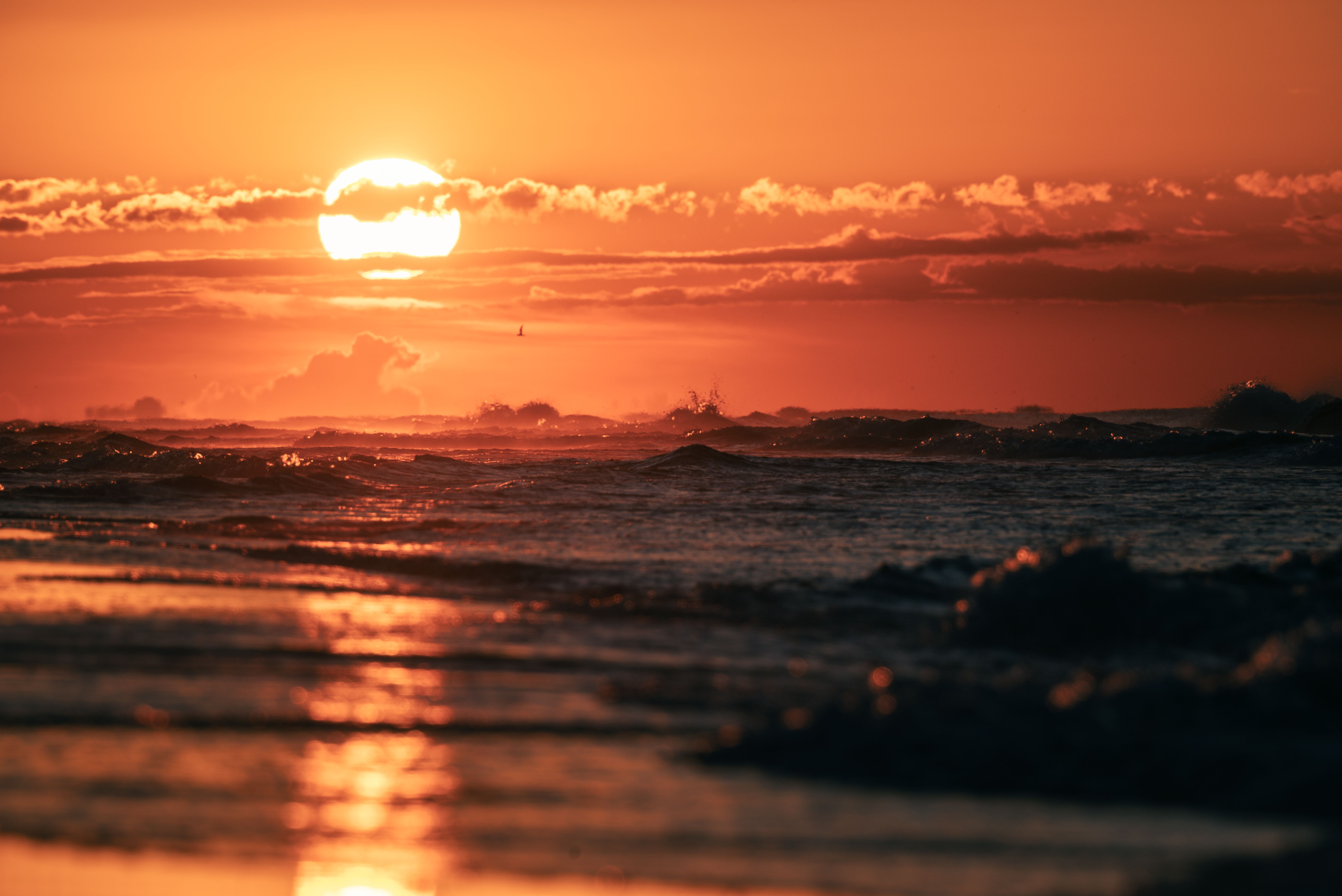 Circus Sunset Photos Download The BEST Free Circus Sunset Stock Photos Circus sunset photos download the best free circus sunset stock photos