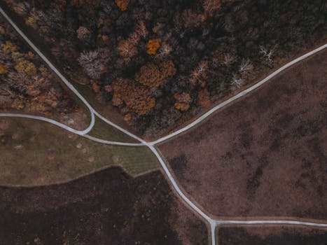 Drone shot capturing brown fields, intersecting roads, and scenic autumn trees.