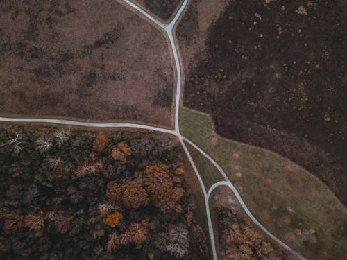 Bird's Eye View of the Grass Field