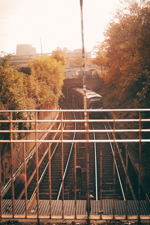 Безкоштовне стокове фото на тему «вертикальні постріл, залізниці, залізнична колія» стокове фото
