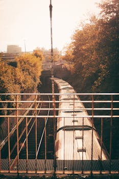 A train passes over a bridge amidst autumn foliage in Hamburg, Germany.