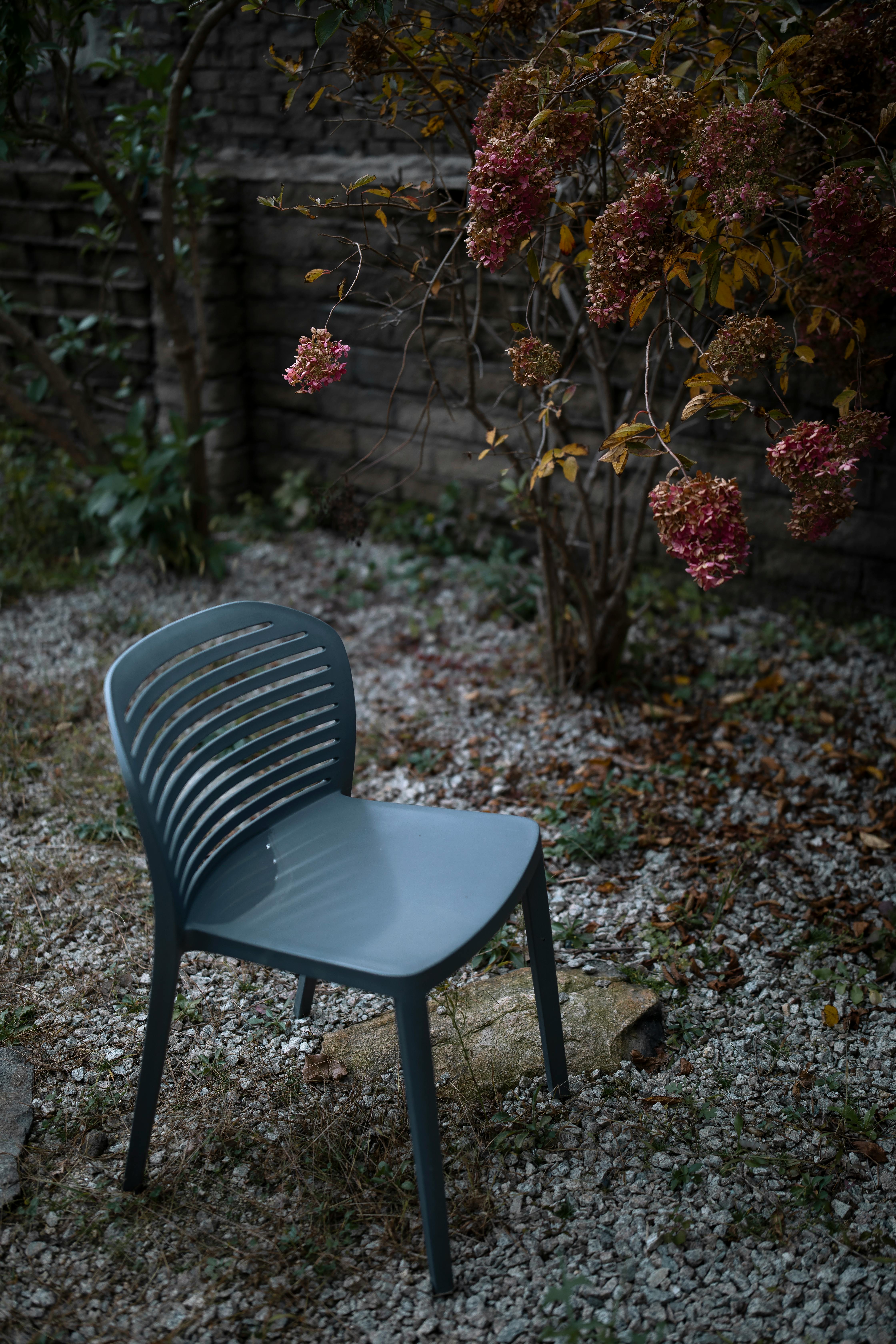 Schlichtes Pflanzendesign im Garten