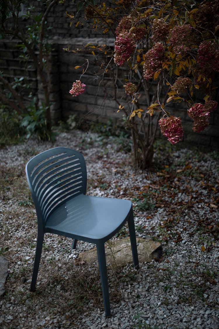 A Blue Chair At The Backyard