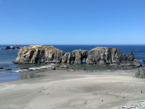 Free Discover the majestic Elephant Rock on Oregon's coastline under a clear blue sky and tranquil ocean waves. Stock Photo
