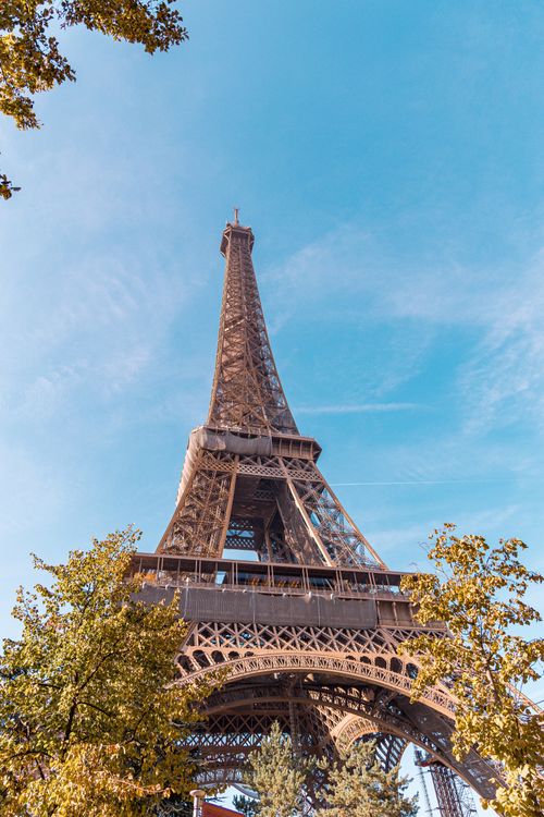 Free Iconic Eiffel Tower framed by trees, set against a vivid blue sky in Paris, France. Stock Photo