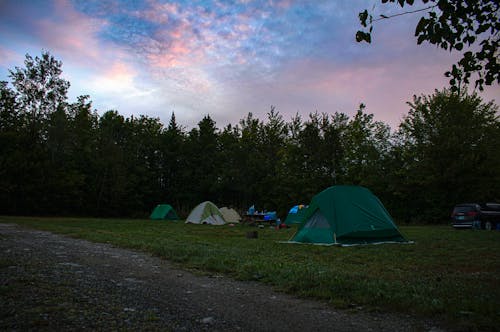 Foto d'estoc gratuïta de acampar, alba primerenca, bosc
