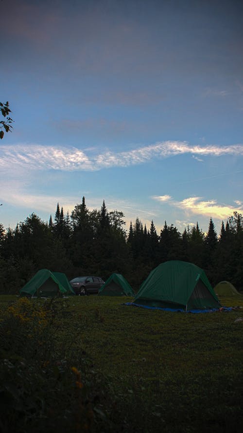 Foto d'estoc gratuïta de acampar