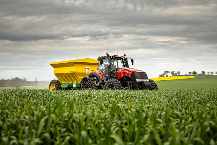 Farm Tractor Used In A Cornfield