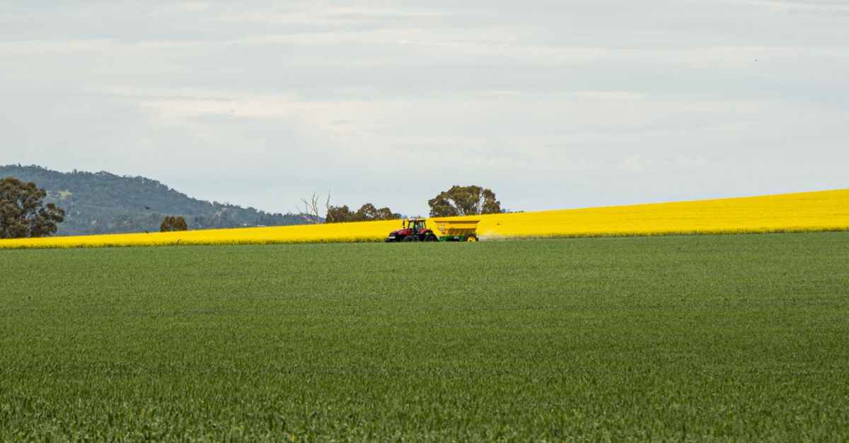 Las innovaciones agrícolas que permitieron el desarrollo científico y cultural Las innovaciones agrícolas que permitieron el desarrollo científico y cultural