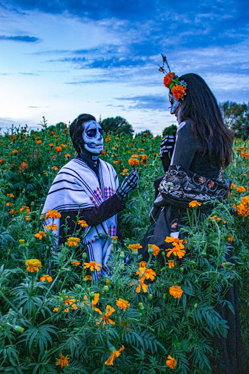 Бесплатное стоковое фото с autoportrait, catrina, мексиканские традиции