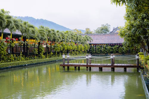 Bridge Over a Pond of Water