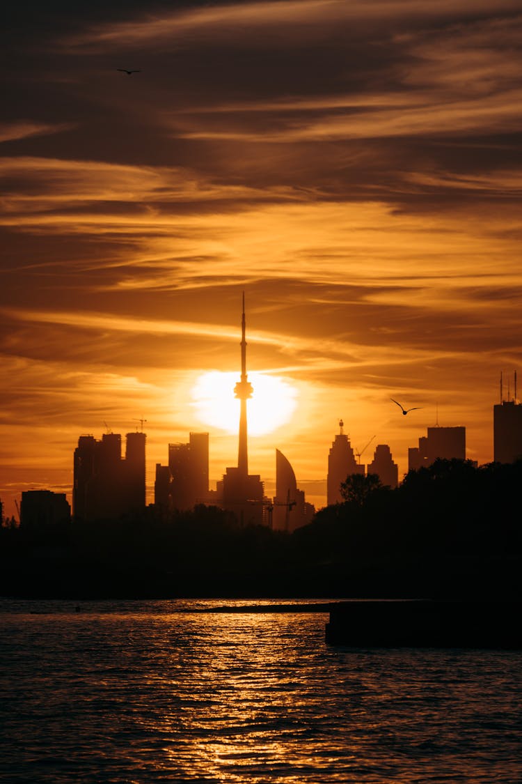 City Skyline In Dusk