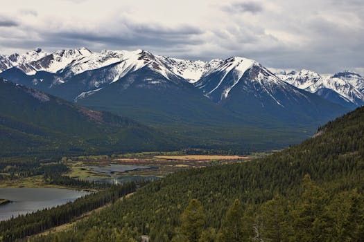 Scenic view of snow-capped Rocky Mountains with lush green valley in Banff National Park, Canada.