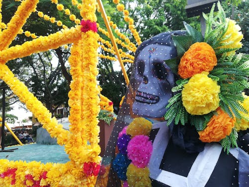 คลังภาพถ่ายฟรี ของ catrina, dayofthedead, ดอกไม้