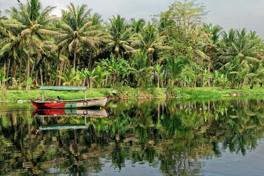 万丹辛当查亚的河流宁静，岸边有棕榈树和一艘船