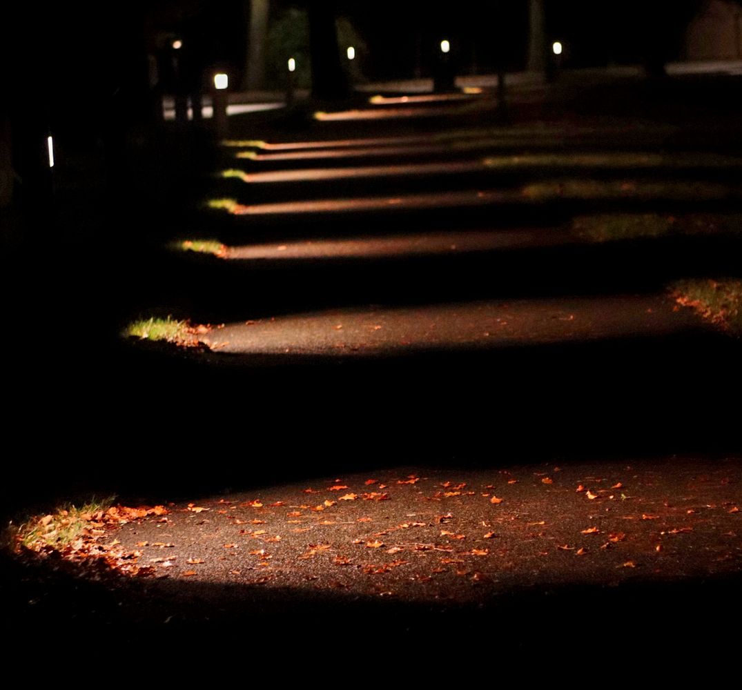 Lit Path Photos, Download The BEST Free Lit Path Stock Photos & HD Images