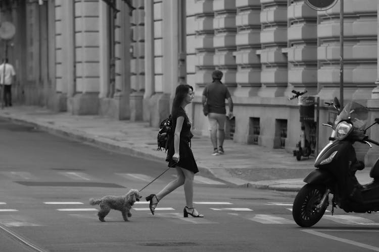 Grayscale Photo Of A Woman Walking On The Street With Her Dog