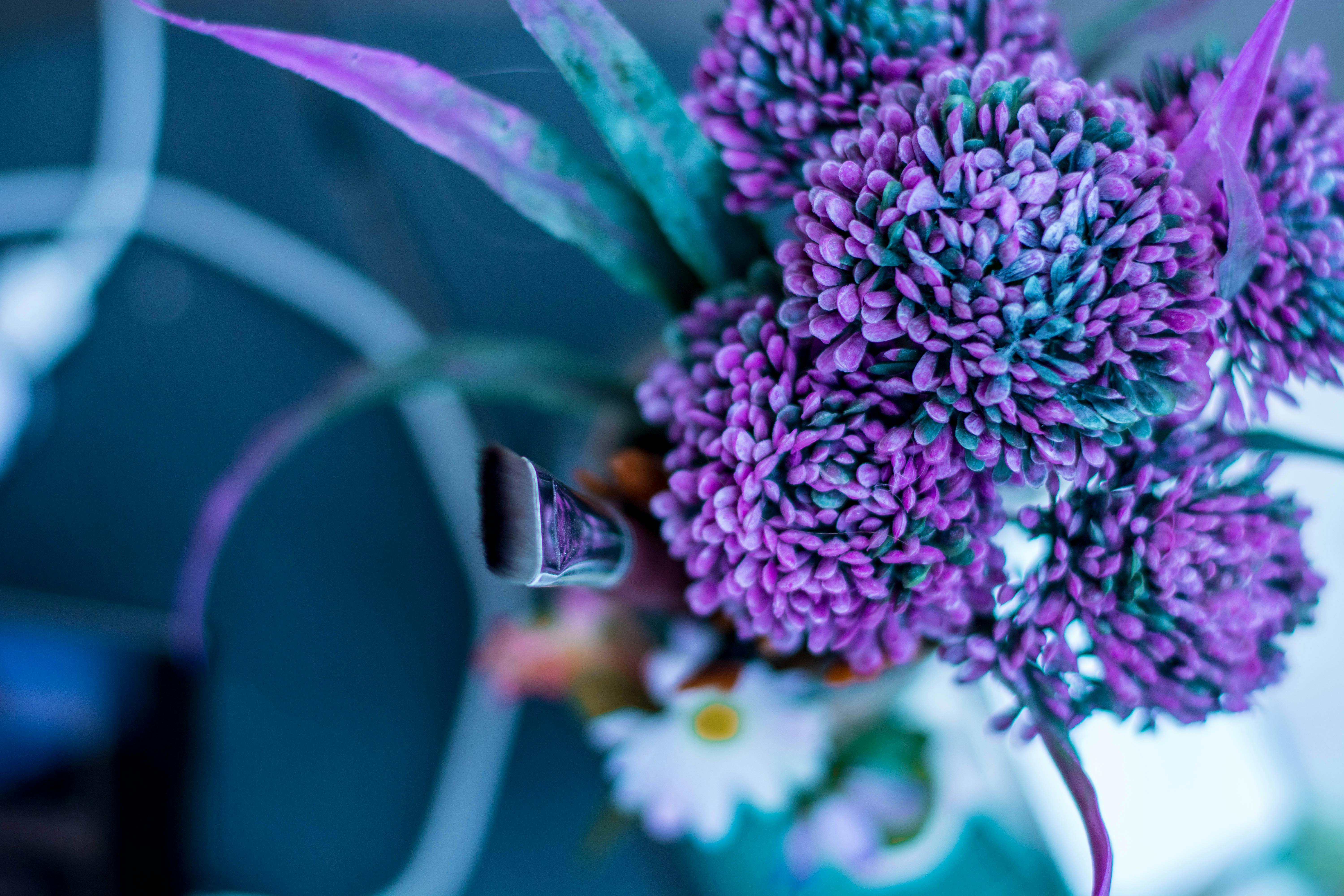 Free stock photo of art, art supplies, artist