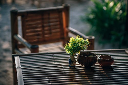 テーブルの上の緑の葉の植物の選択的な焦点写真