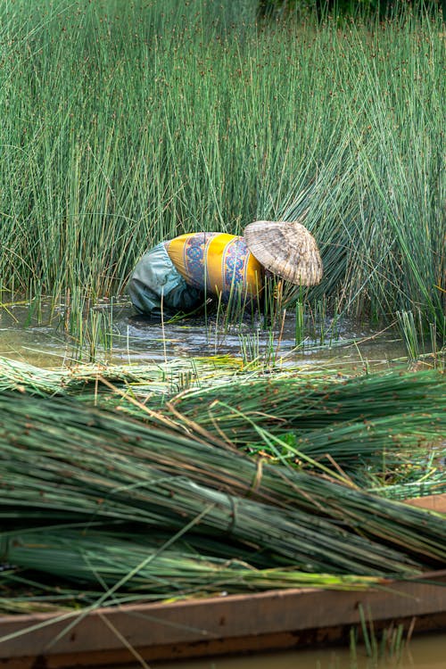 Farmer Harvesting Grass