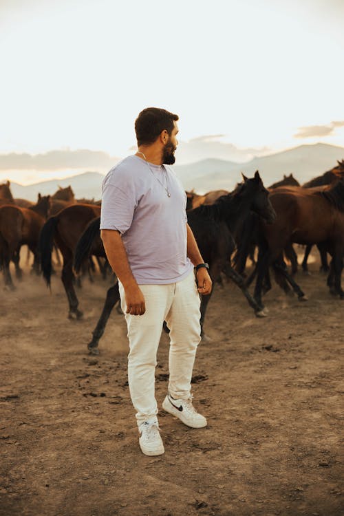 Foto profissional grátis de barbado, cavalos, fazenda