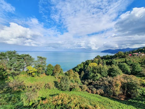 Breathtaking coastal landscape featuring lush greenery and a panoramic ocean view under a vibrant sky.