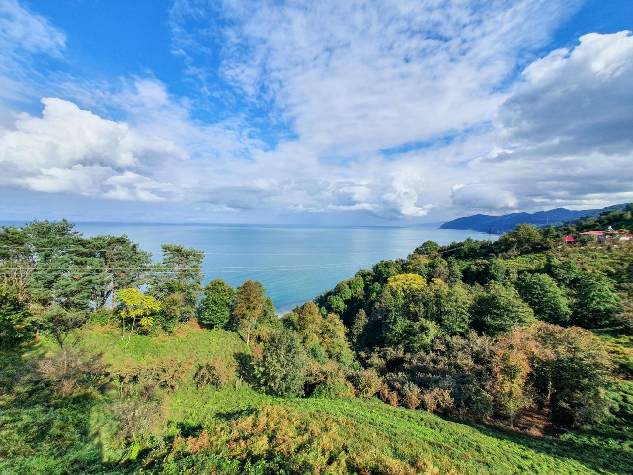 breathtaking coastal landscape featuring lush greenery and a panoramic
